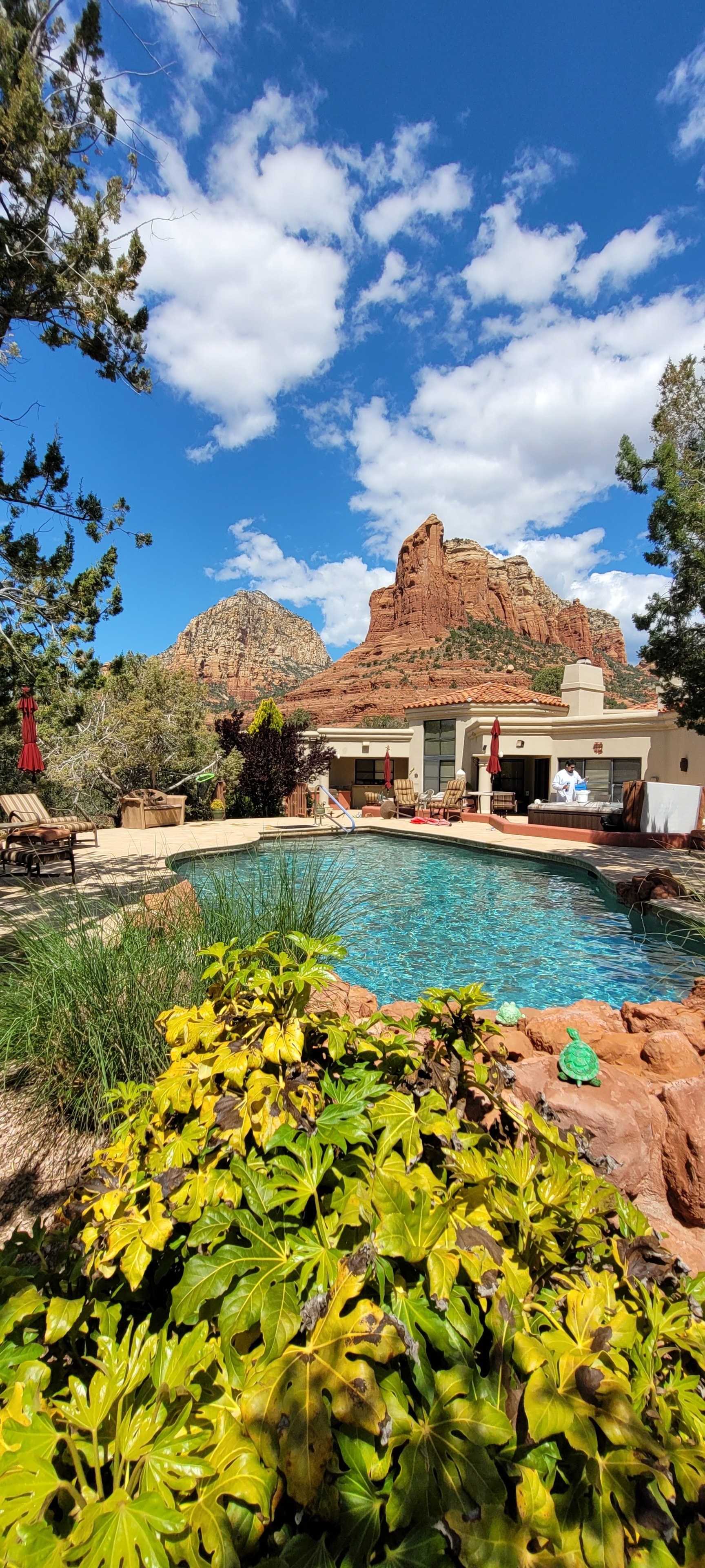 Professional pool cleaning service